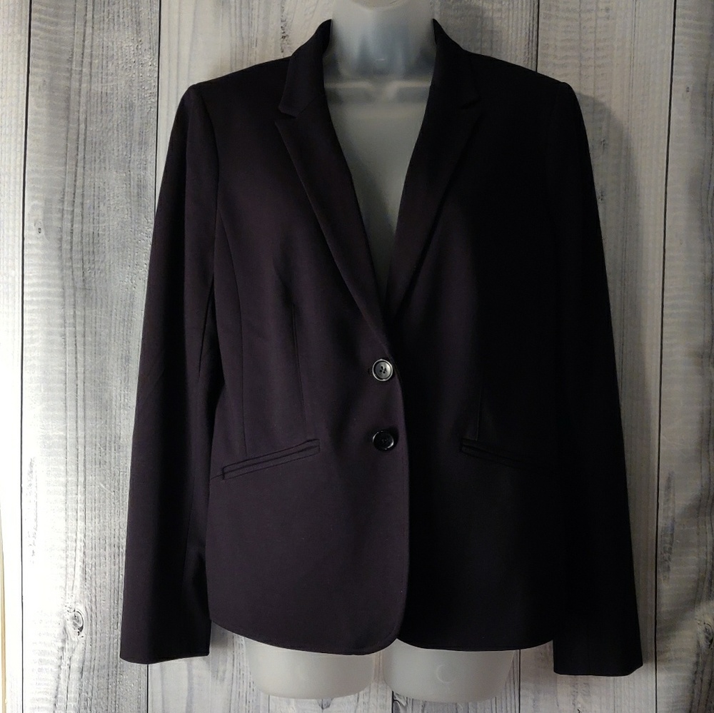 The Limited Two Button Blazer in Modern Stretch